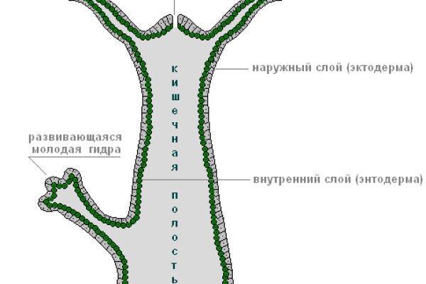 Рабочая ссылка на мега tor